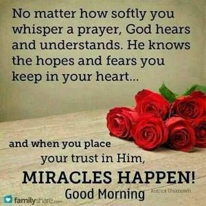 Meet your Posher, Domina